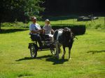 DSCN1217.JPG
