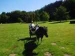DSCN1230.JPG